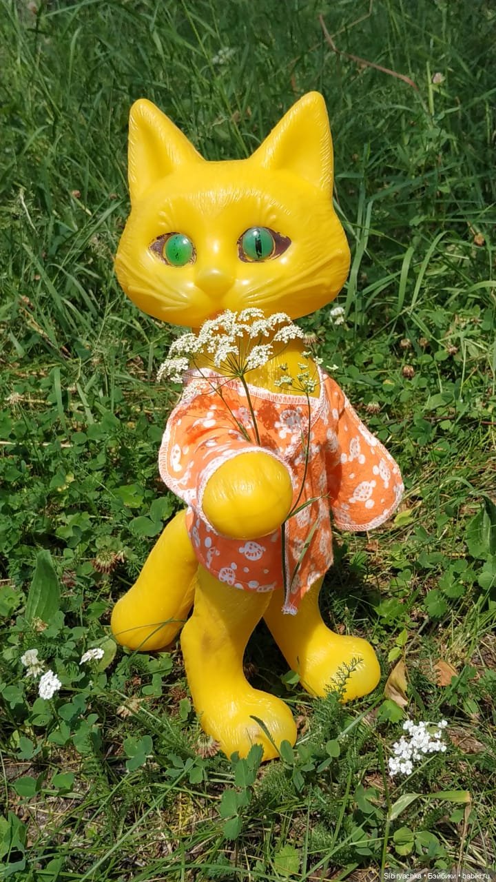 Котофей Иванович изучает окрестности деревни "Радость"