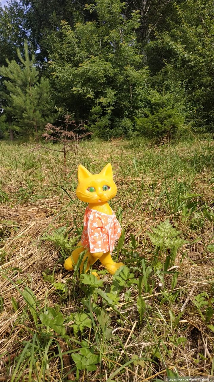 Котофей Иванович изучает окрестности деревни "Радость"