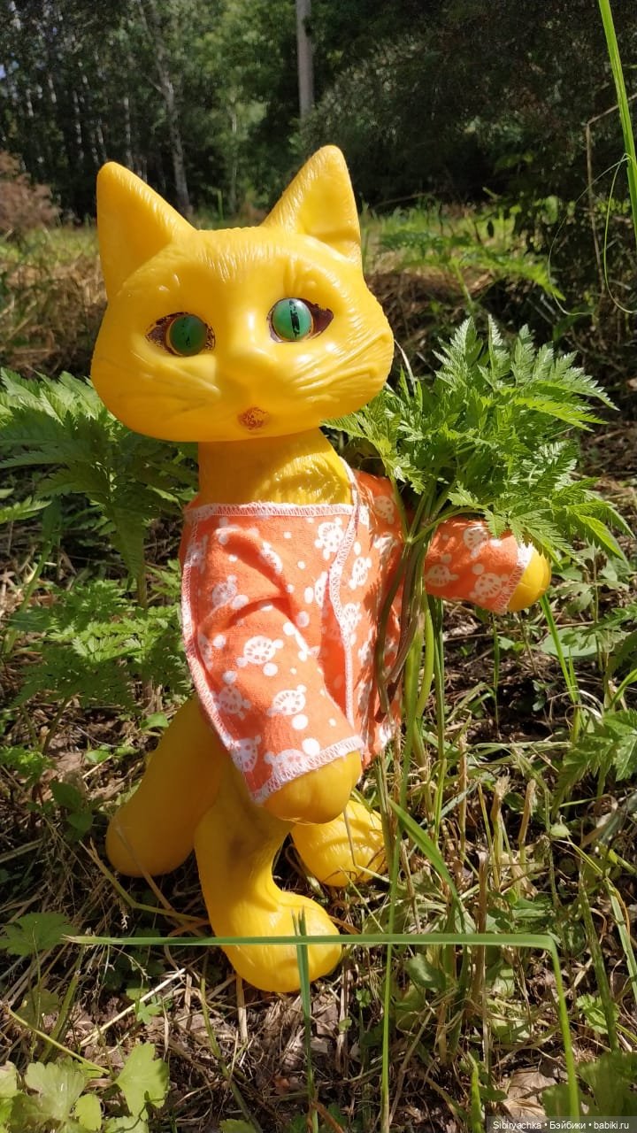 Котофей Иванович изучает окрестности деревни "Радость"