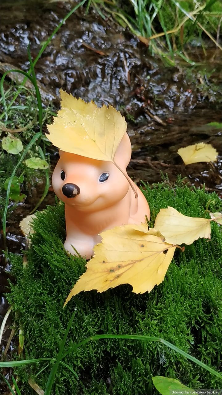 Лисичка-сестричка и лисёнок Малыш