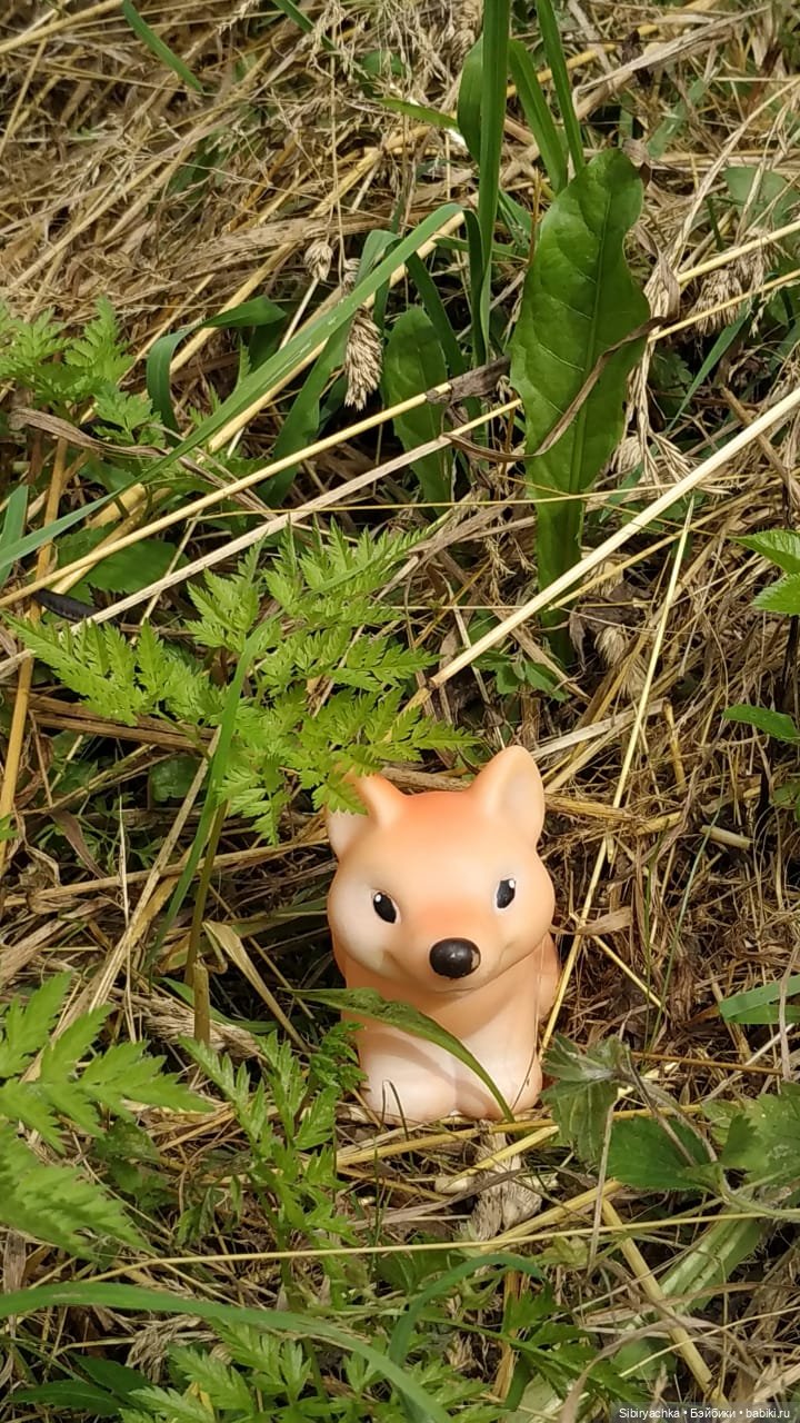 Лисичка-сестричка и лисёнок Малыш (фото 6)