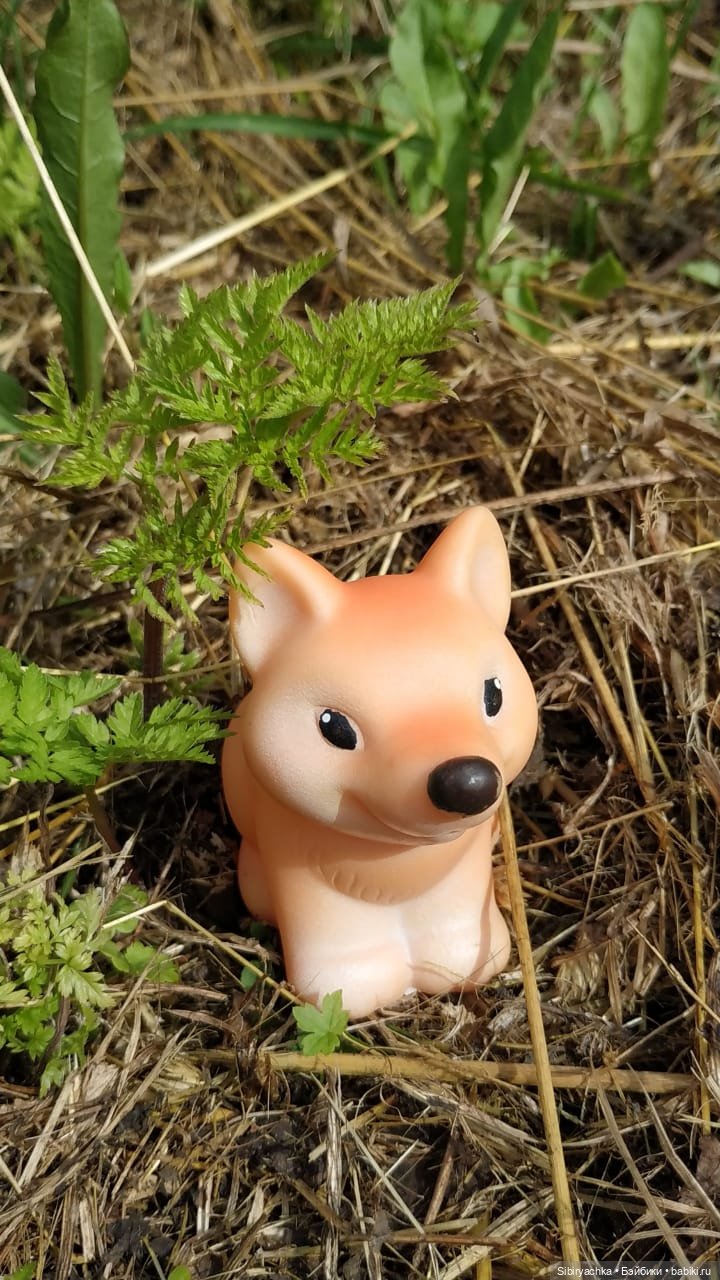 Лисичка-сестричка и лисёнок Малыш