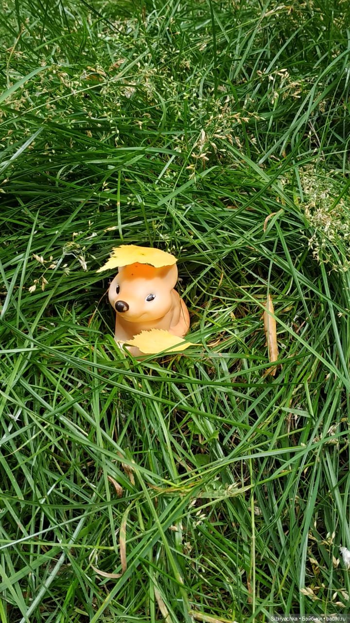 Лисичка-сестричка и лисёнок Малыш