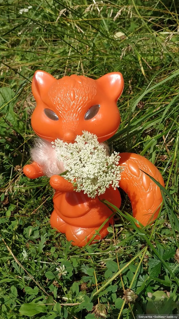 Лисичка-сестричка и лисёнок Малыш