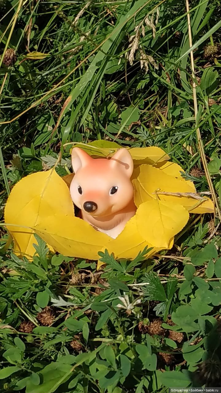 Лисичка-сестричка и лисёнок Малыш