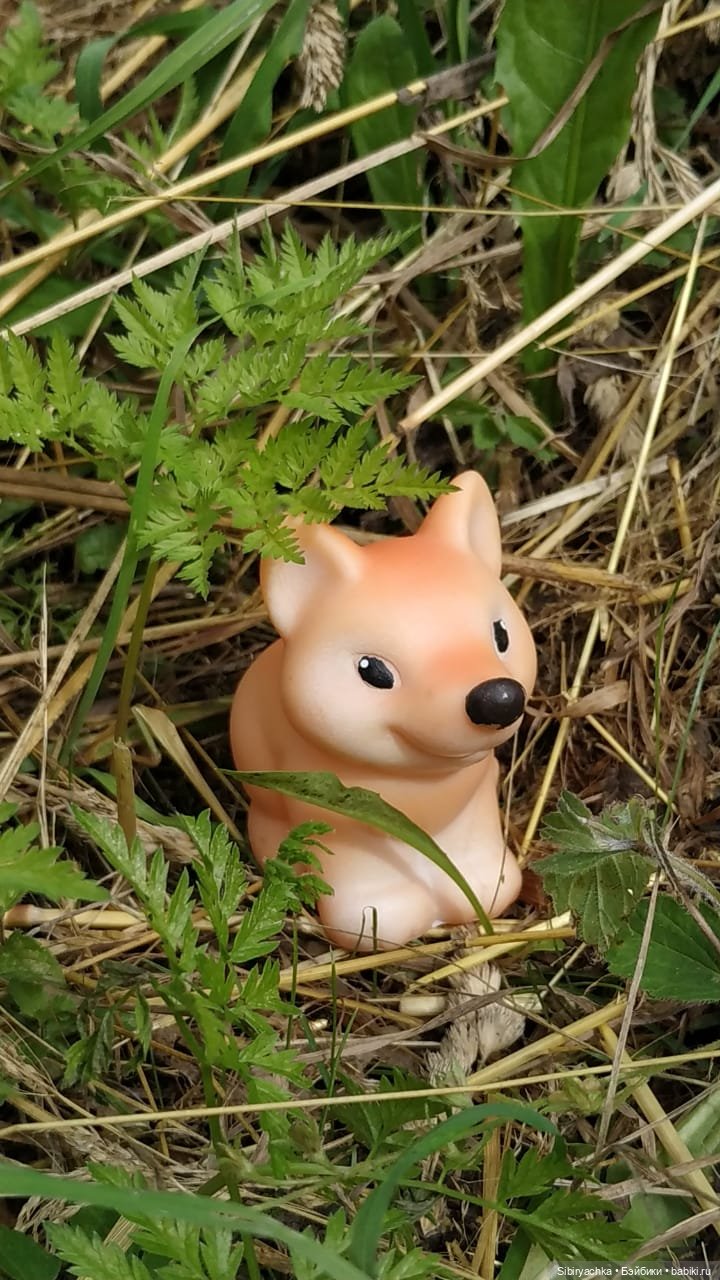 Лисичка-сестричка и лисёнок Малыш (фото 9)