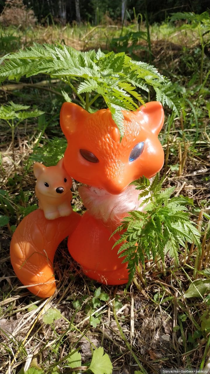 Лисичка-сестричка и лисёнок Малыш