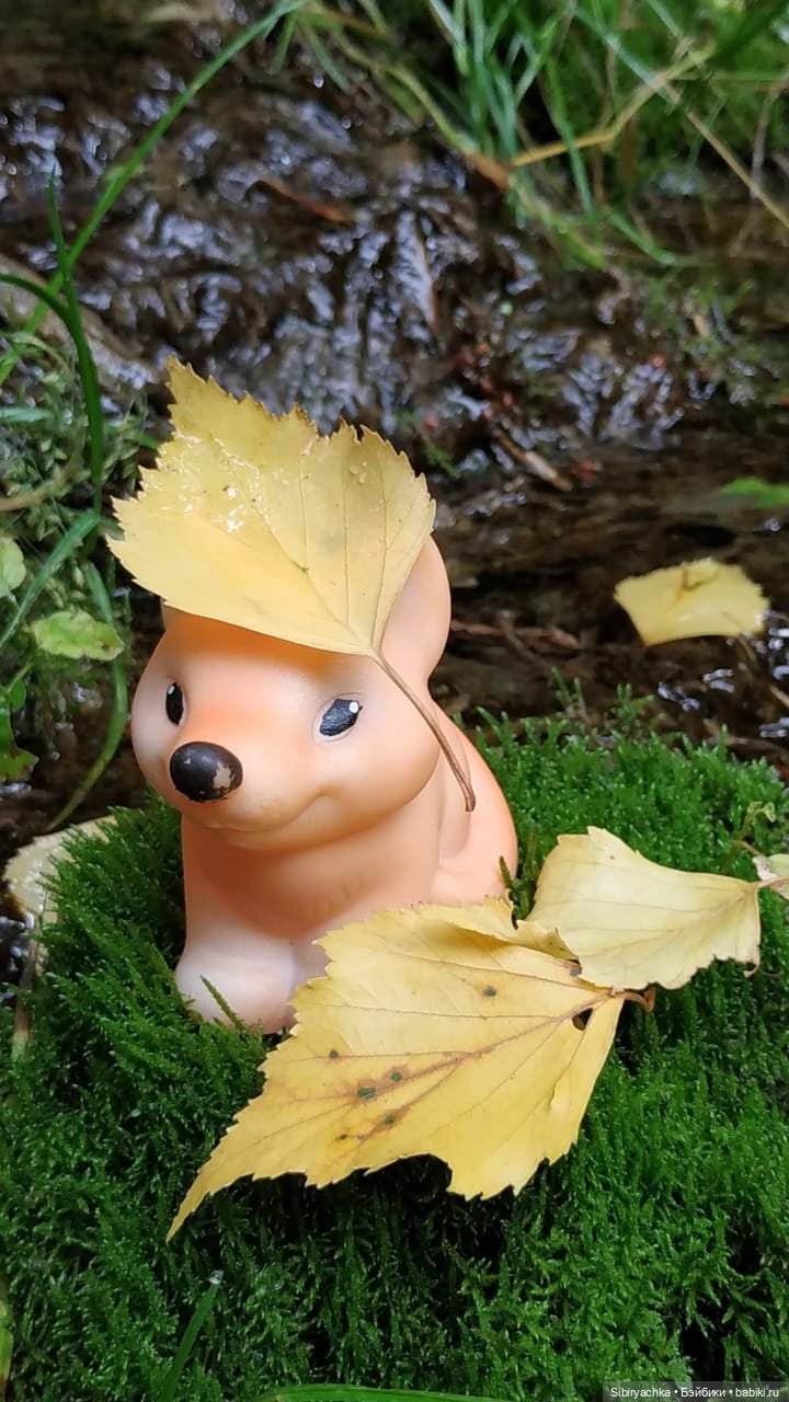 Лисичка-сестричка и лисёнок Малыш