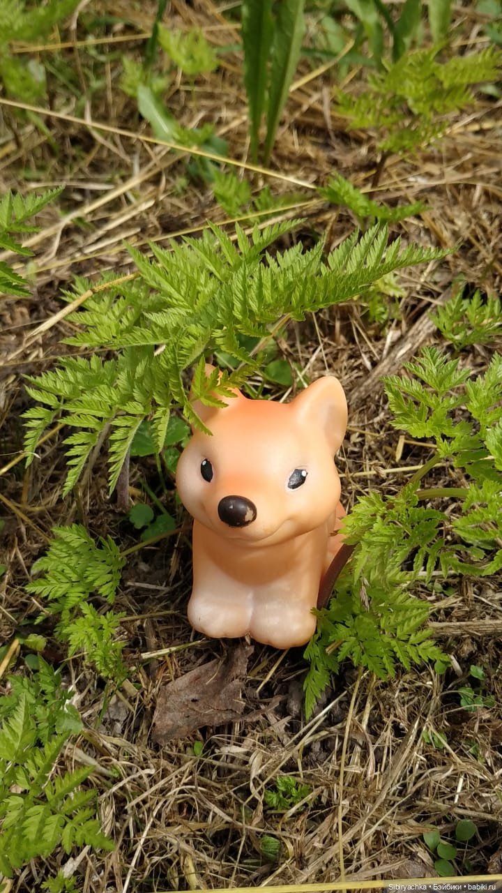 Лисичка-сестричка и лисёнок Малыш (фото 10)