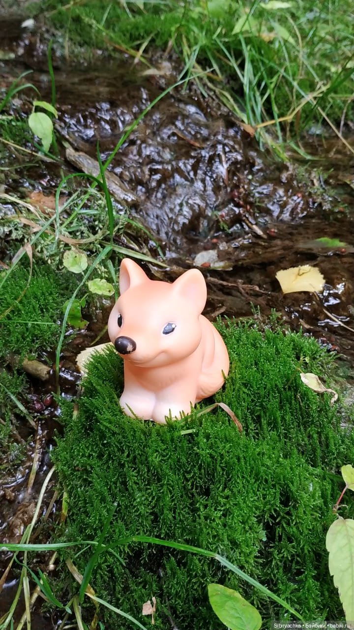 Лисичка-сестричка и лисёнок Малыш