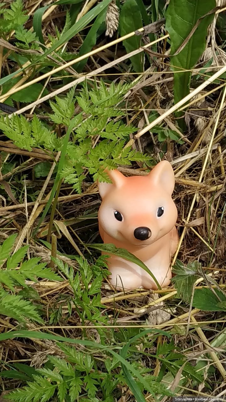 Лисичка-сестричка и лисёнок Малыш (фото 7)