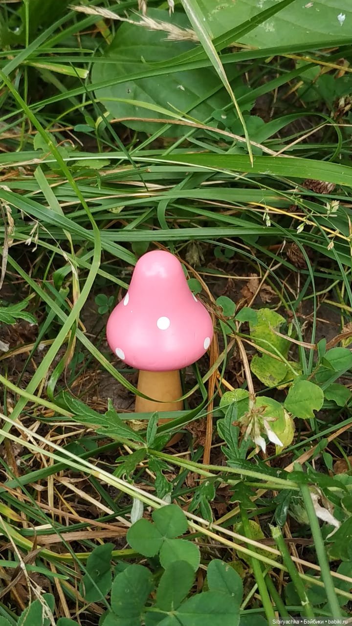 Новые друзья Лисички-сестрички и лисёнка Малыша