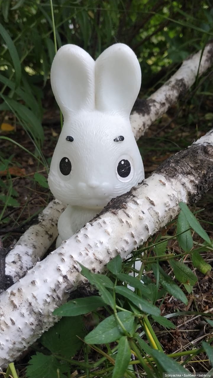 Новые друзья Лисички-сестрички и лисёнка Малыша (фото 10)