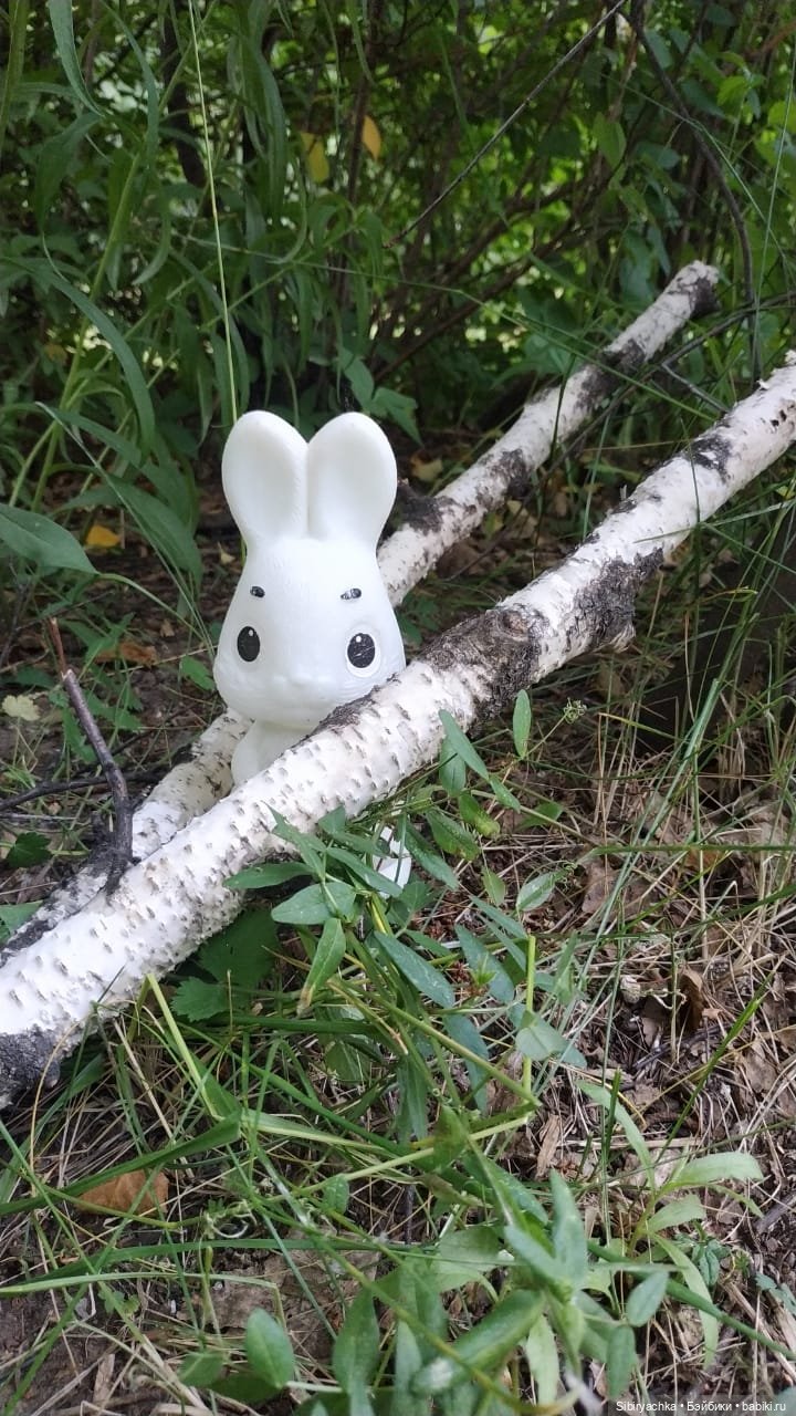 Новые друзья Лисички-сестрички и лисёнка Малыша (фото 9)