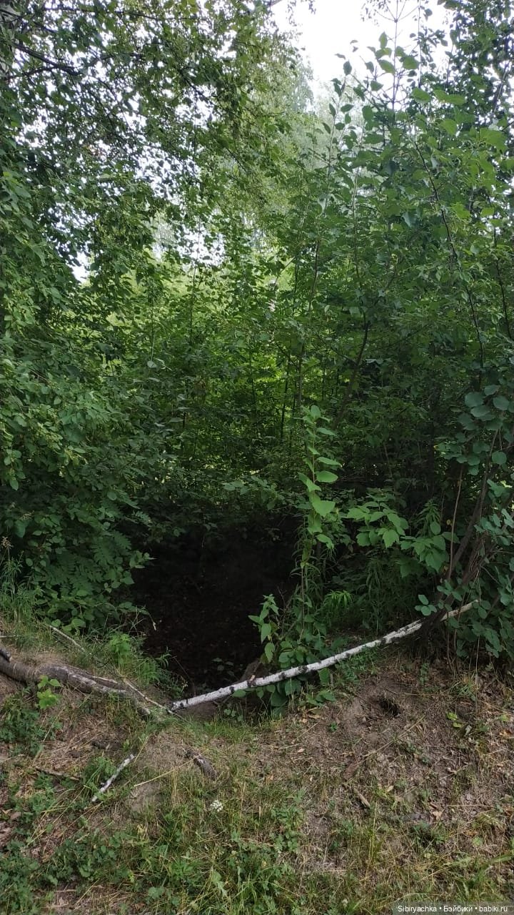 Новые друзья Лисички-сестрички и лисёнка Малыша (фото 8)