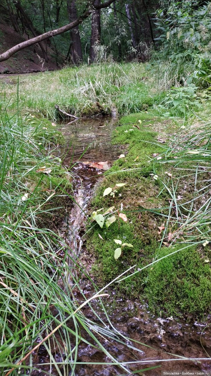 Новые друзья Лисички-сестрички и лисёнка Малыша