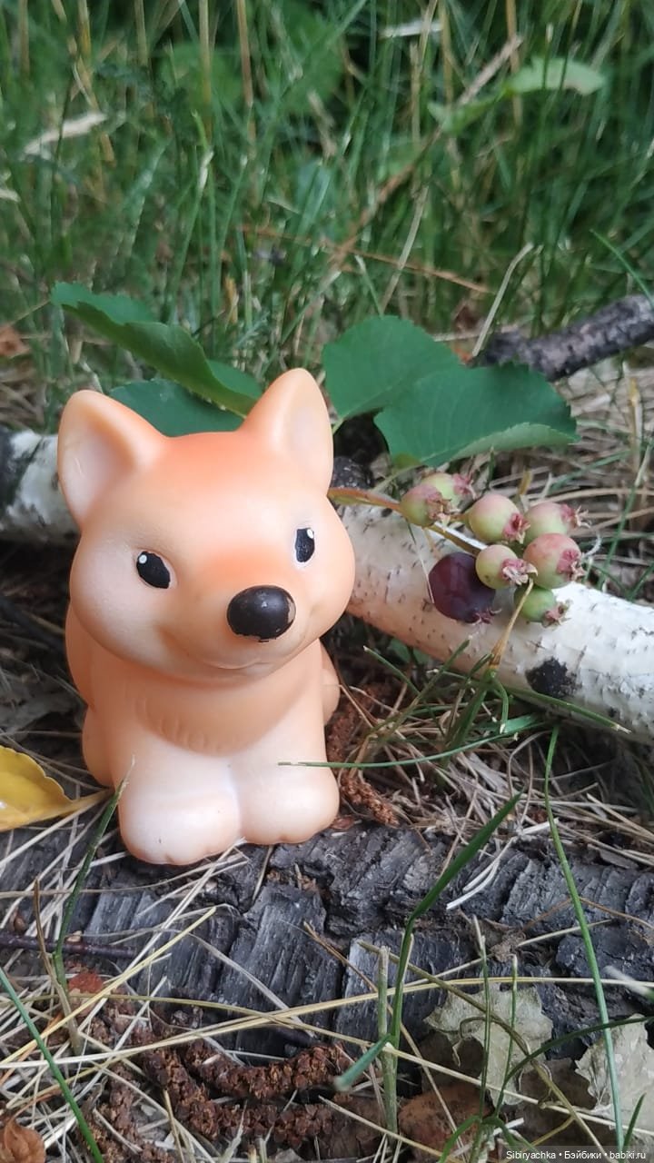 Новые друзья Лисички-сестрички и лисёнка Малыша (фото 3)