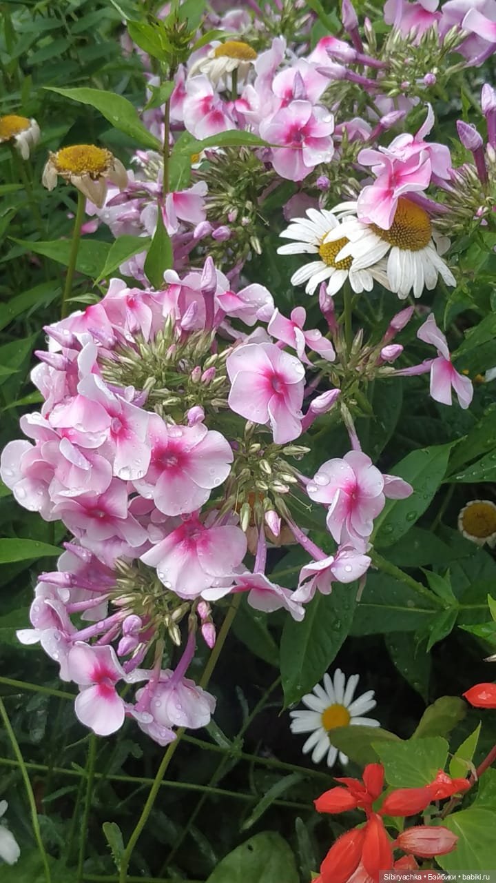 После дождя — Игровые куклы разных производителей (Разное): редкие бренды (фото 8)