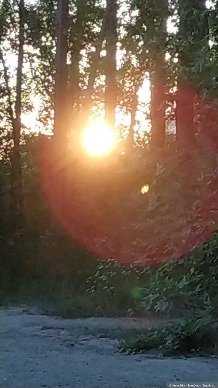 Вечер в лесу — Игрушки СССР и советского детства: резиновые