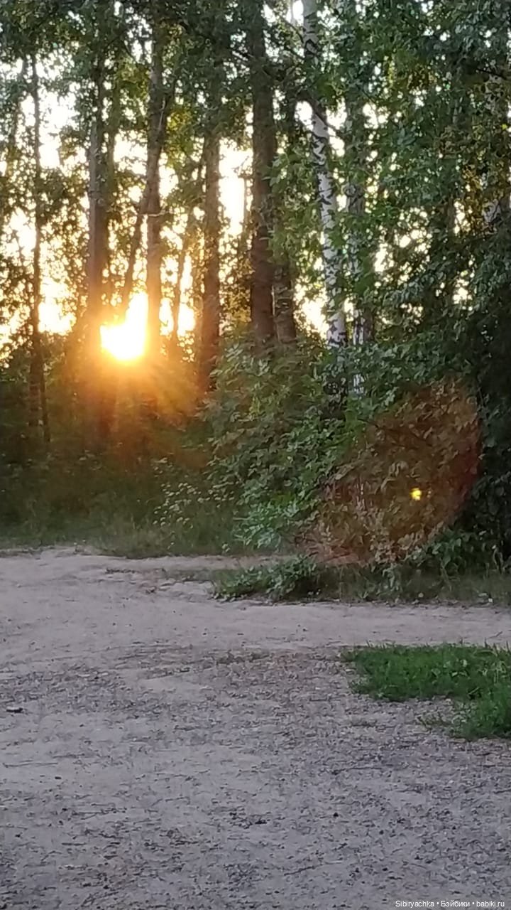 Вечер в лесу — Игрушки СССР и советского детства: резиновые