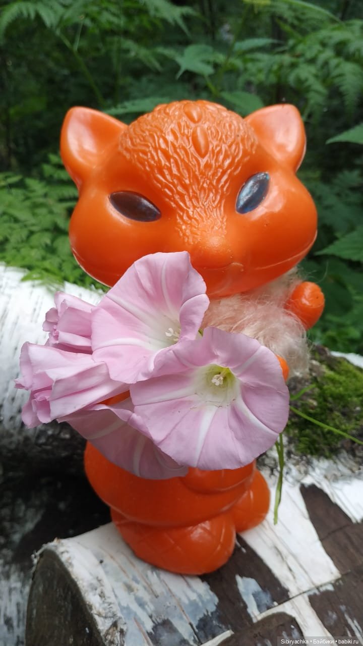 Вечер в лесу — Игрушки СССР и советского детства: резиновые