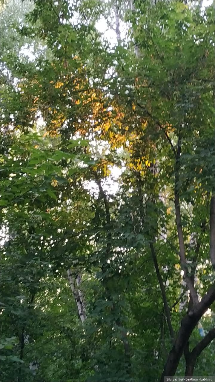 Вечер в лесу — Игрушки СССР и советского детства: резиновые