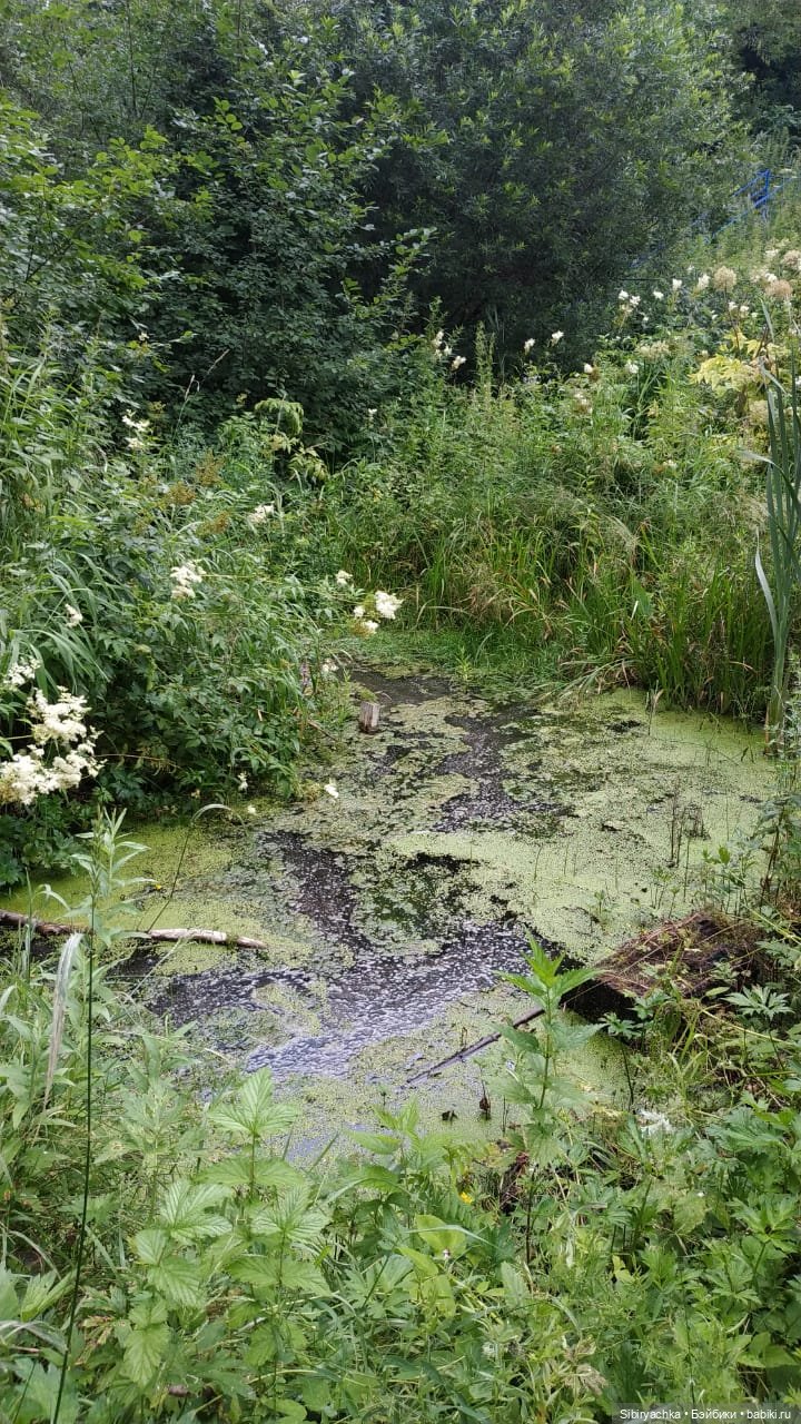 Вечер в лесу — Игрушки СССР и советского детства: резиновые