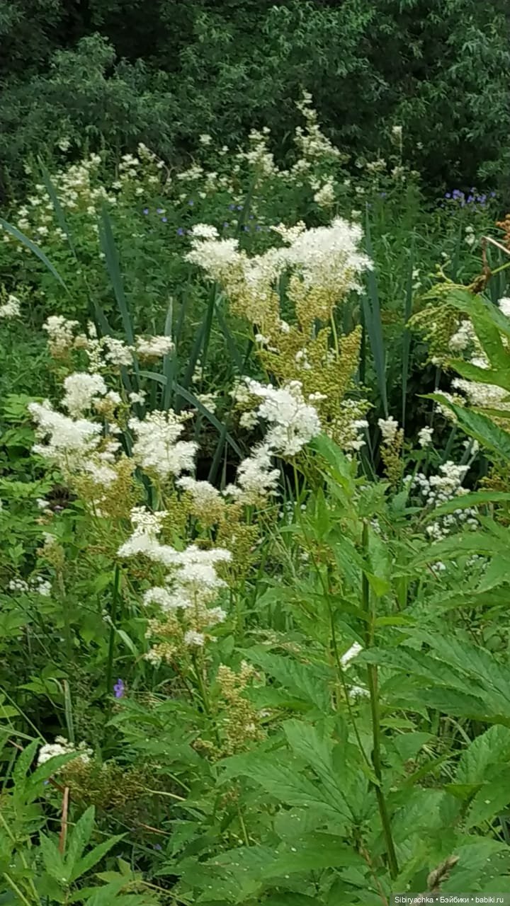 Вечер в лесу — Игрушки СССР и советского детства: резиновые