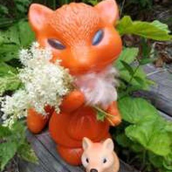 Вечер в лесу.