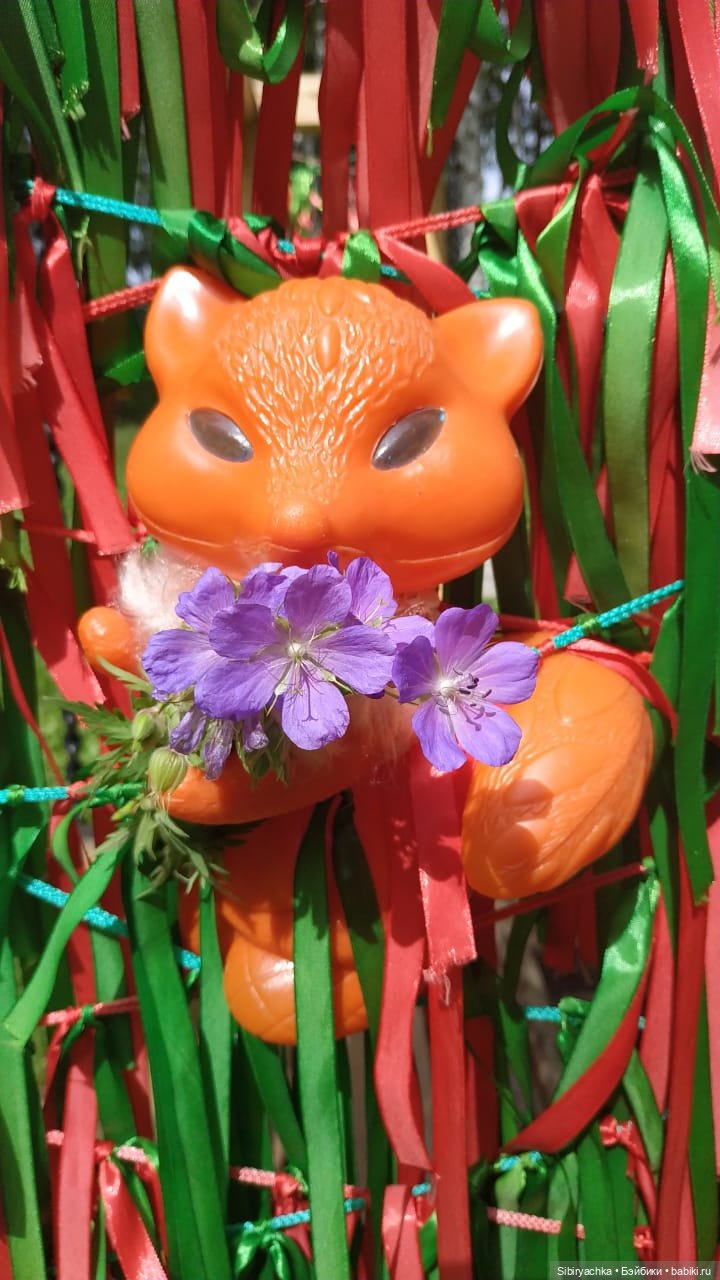 Небольшая прогулка Лисички-сестрички по деревне "Радость" (фото 3)