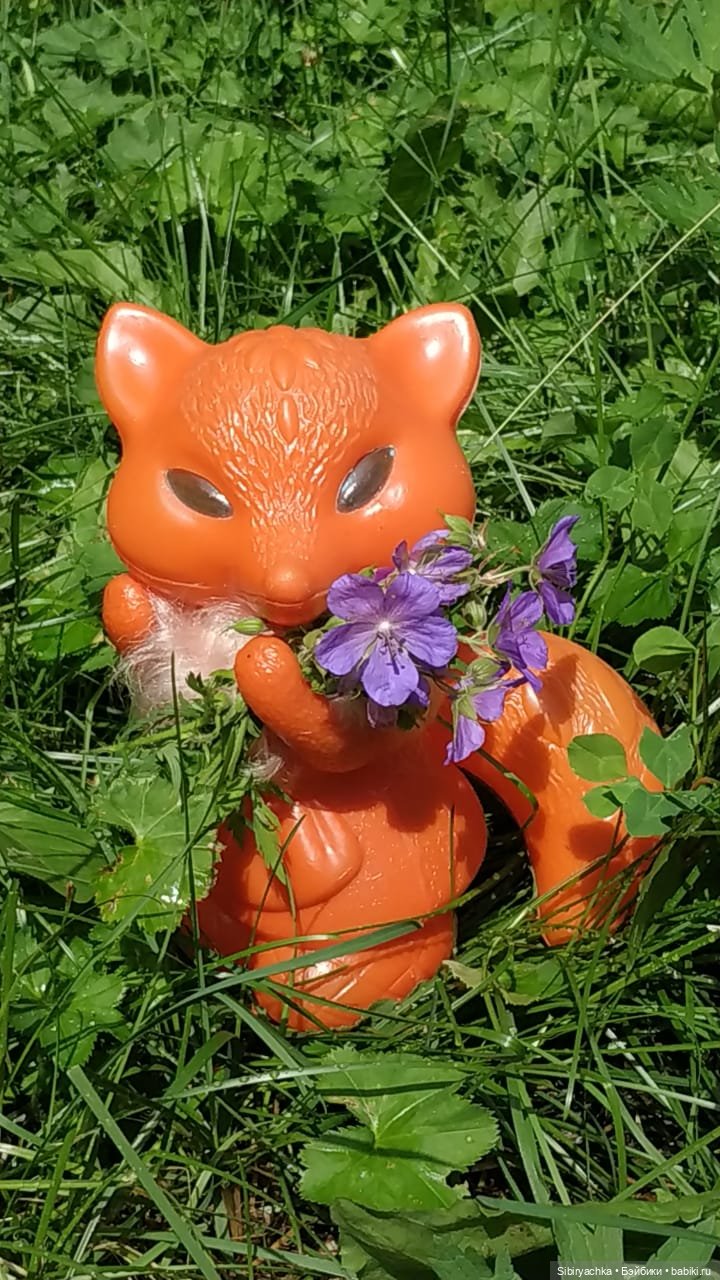 Небольшая прогулка Лисички-сестрички по деревне "Радость" (фото 2)