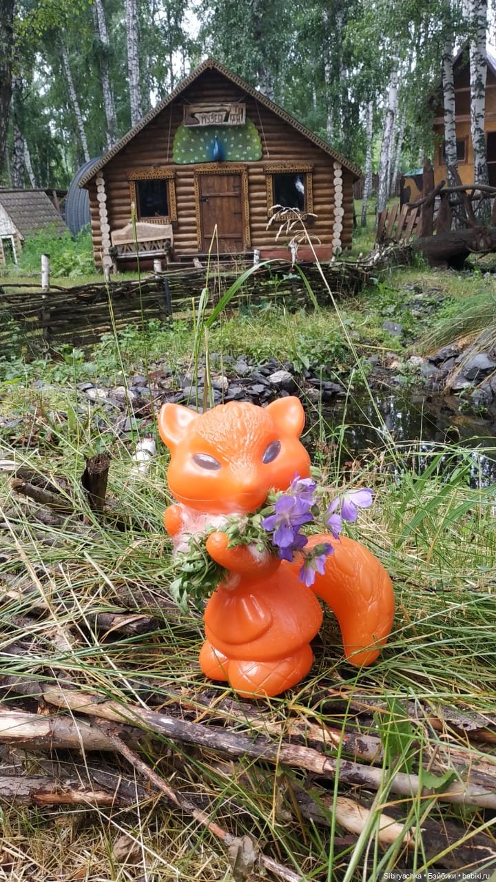 Небольшая прогулка Лисички-сестрички по деревне "Радость" (фото 5)