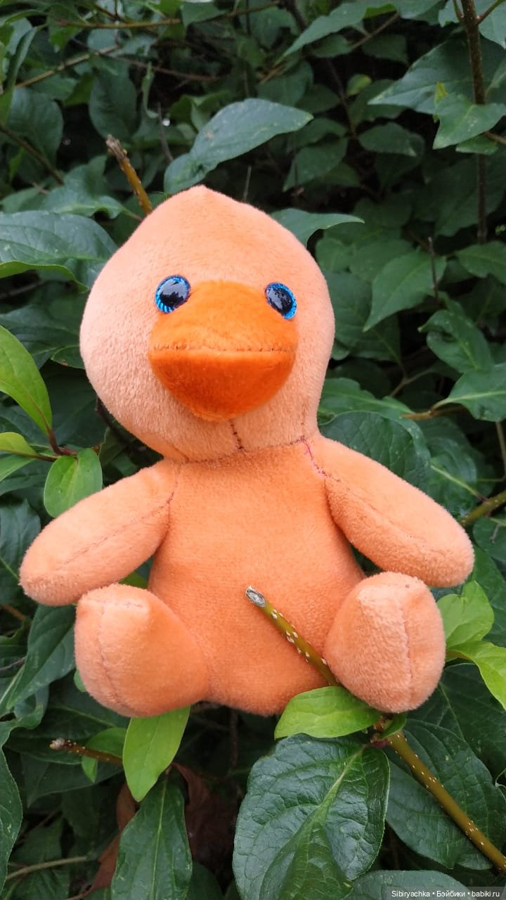 Летняя прогулка Анечки и Яночки