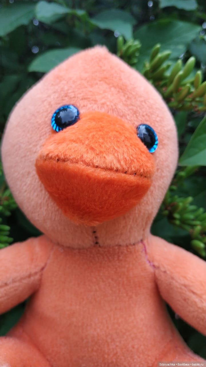 Летняя прогулка Анечки и Яночки