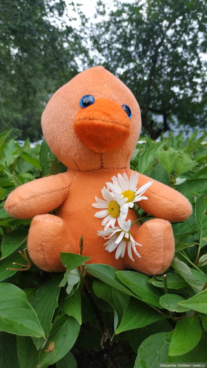 Летняя прогулка Анечки и Яночки