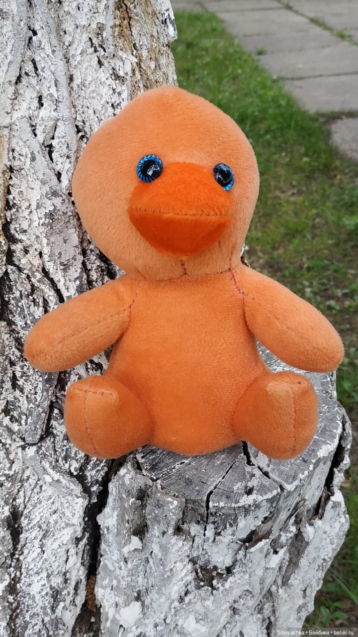 Летняя прогулка Анечки и Яночки