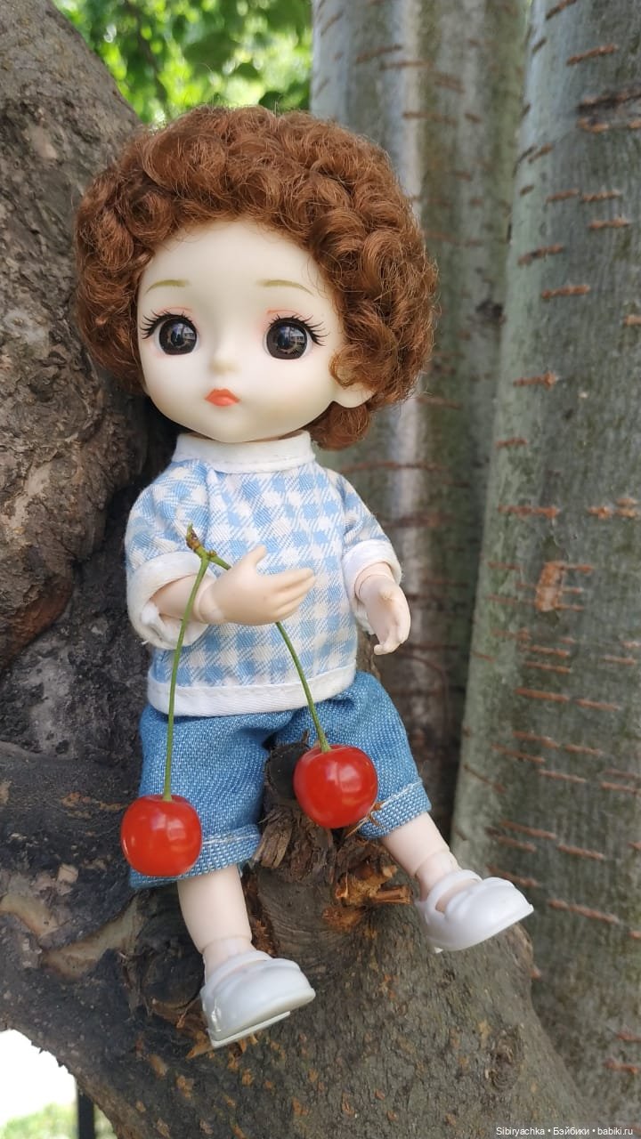 Коленька и Василёк изучают растения