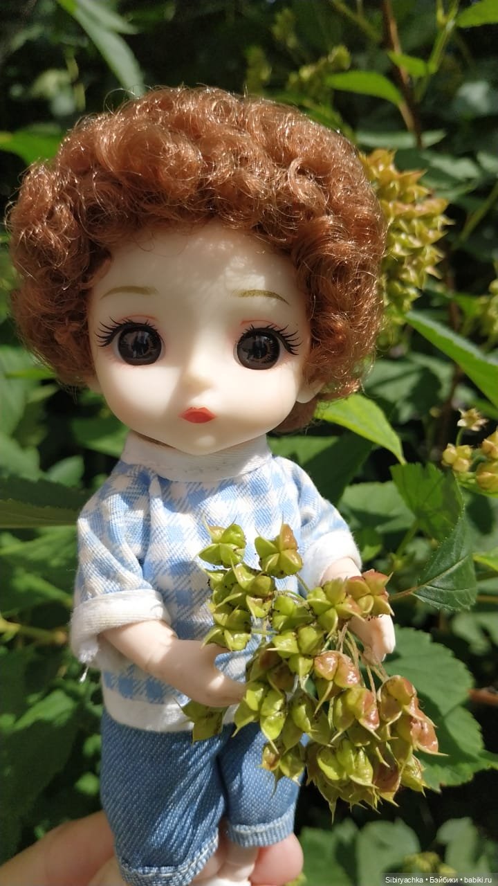 Коленька и Василёк изучают растения (фото 7)