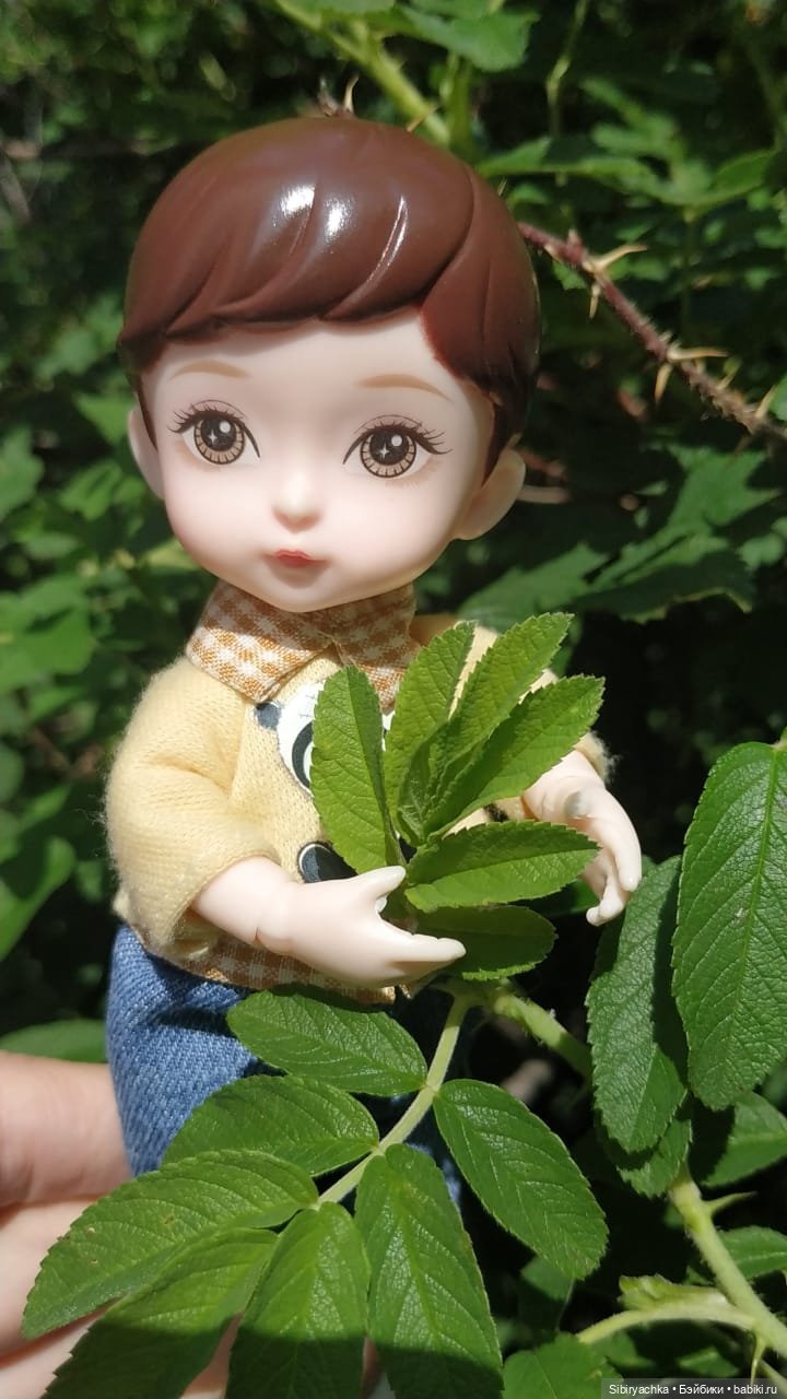 Коленька и Василёк изучают растения