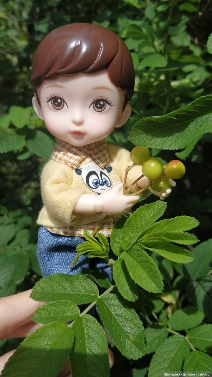 Коленька и Василёк изучают растения