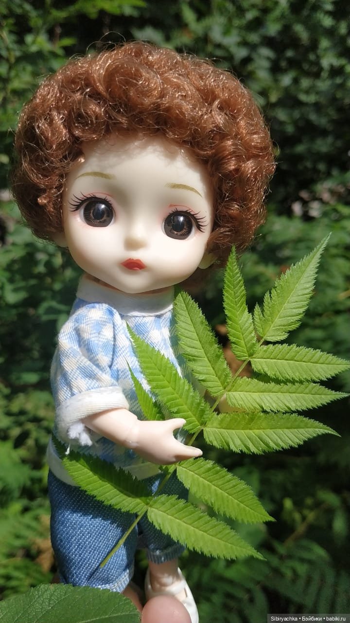 Коленька и Василёк изучают растения