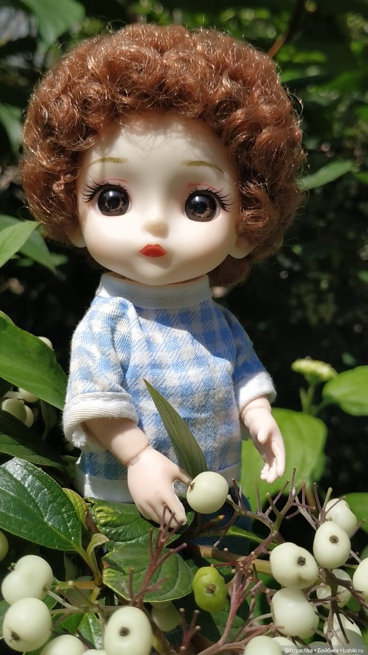 Коленька и Василёк изучают растения