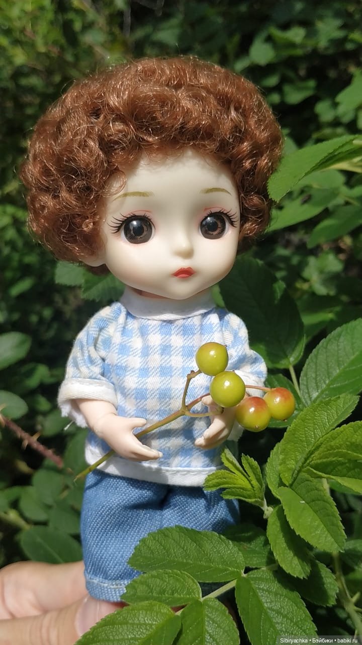 Коленька и Василёк изучают растения