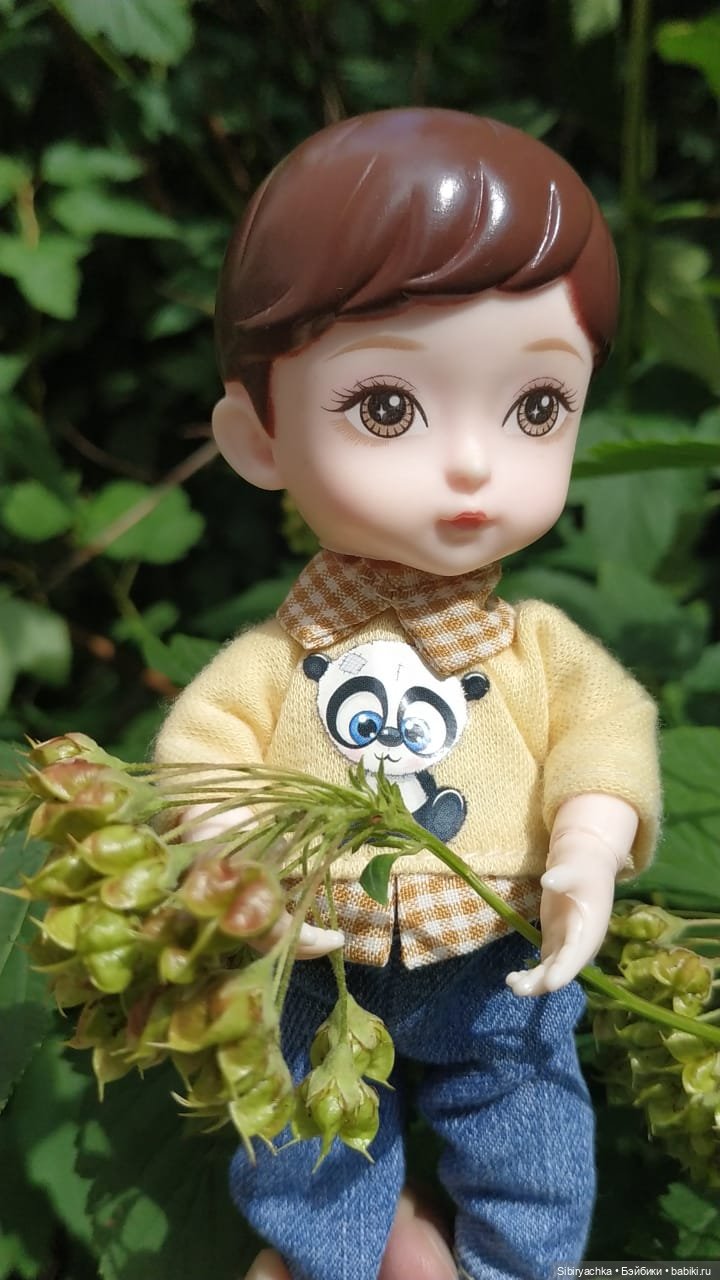 Коленька и Василёк изучают растения (фото 10)