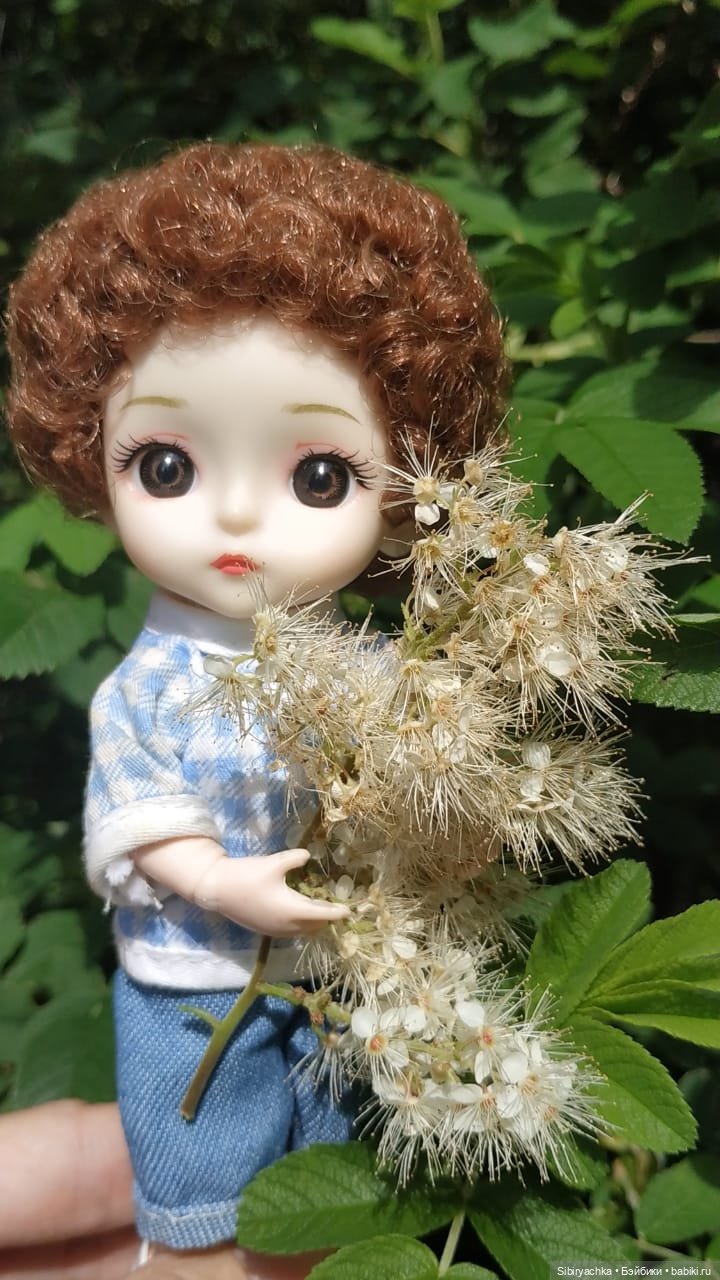 Коленька и Василёк изучают растения