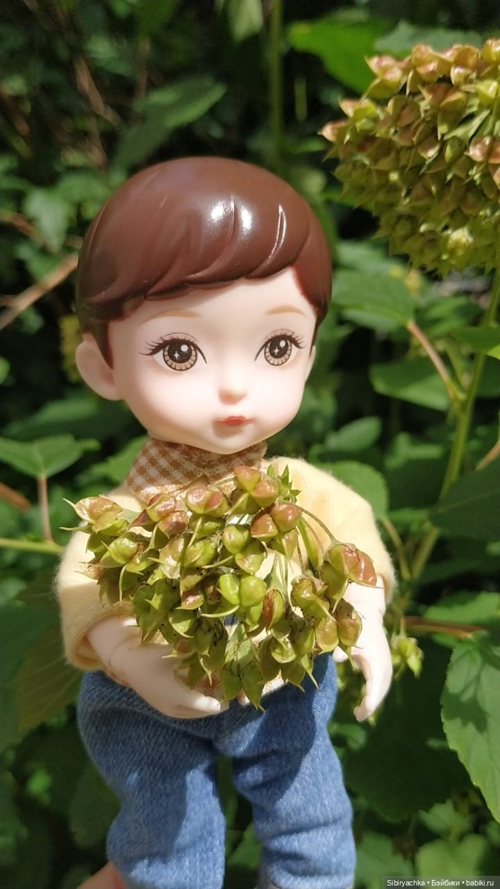 Коленька и Василёк изучают растения (фото 8)