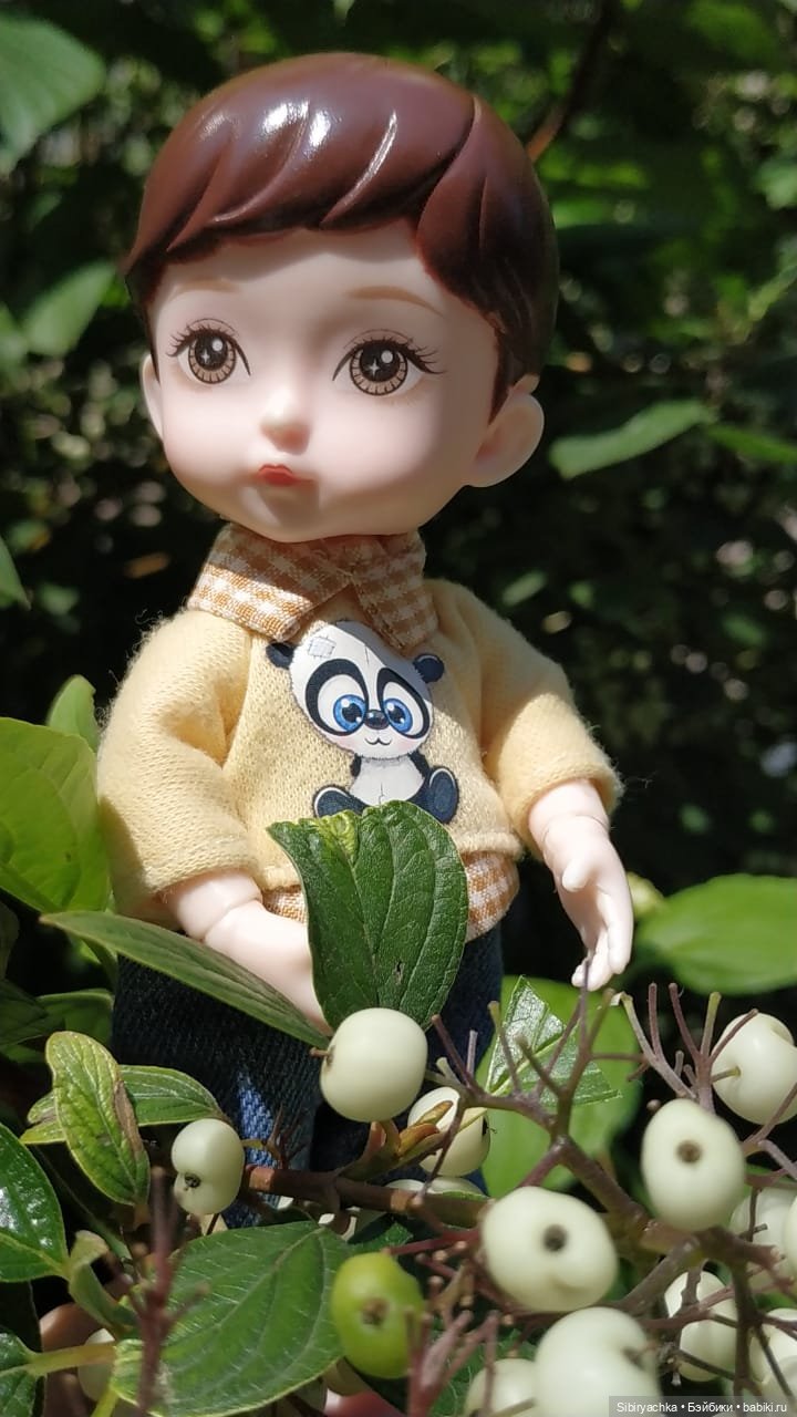 Коленька и Василёк изучают растения