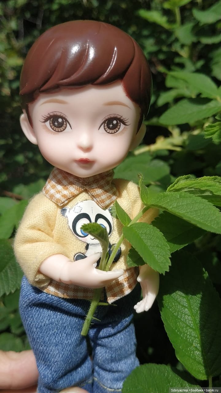 Коленька и Василёк изучают растения