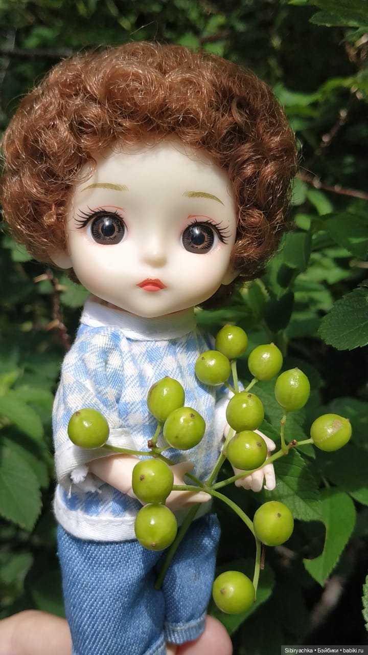 Коленька и Василёк изучают растения