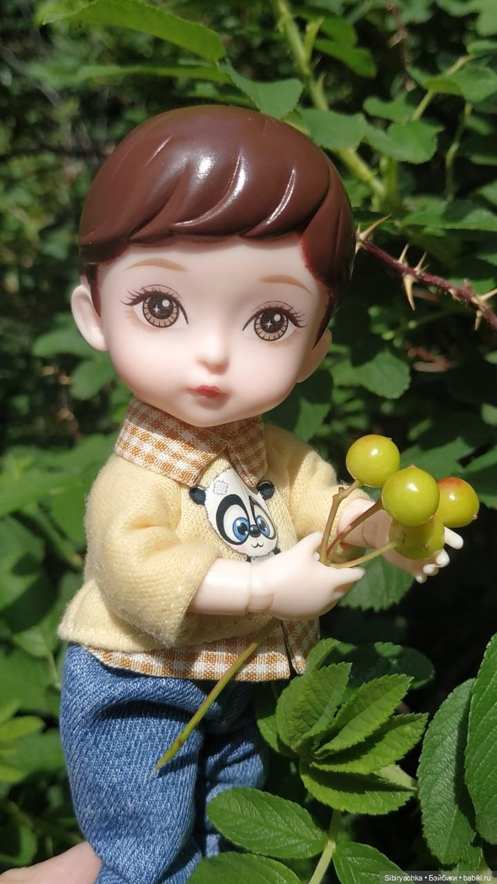 Коленька и Василёк изучают растения